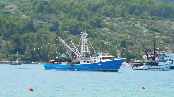 Barco Pesca Veio Pesca — Vídeo de Stock