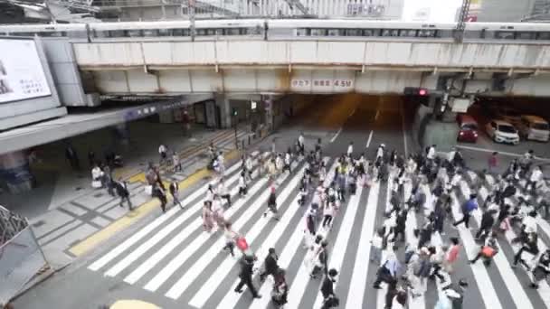 Chodec Přijíždějící Obou Stran Ulice Rušném Přechodu Ósace Japonsko — Stock video