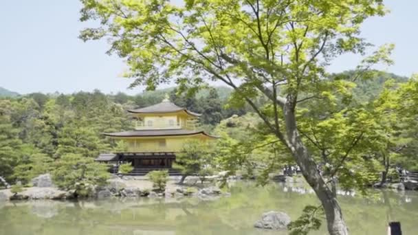 Kinkakuji Pabellón Oro Kyoto Japón Con Árbol Balanceándose Suavemente Brisa — Vídeos de Stock