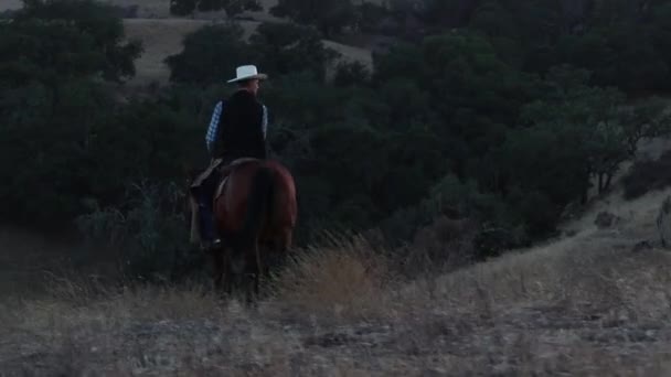 牛仔骑着马扫视四周寻找牛 — 图库视频影像