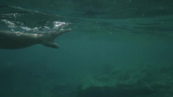 Threading Water Slow Motion Zee Zwemmen — Stockvideo