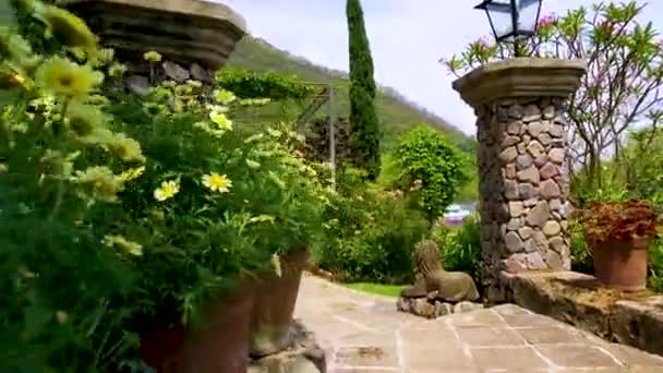 Buiten Gangpad Versierd Met Bloemen Natuur Een Zonnige Mooie Dag — Stockvideo