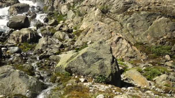 大人の男ハイキングや天気の良い日に水を飲む — ストック動画