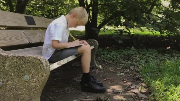 Colegial Sentado Banco Del Parque Escribiendo Cuaderno Verano Día Soleado — Vídeos de Stock