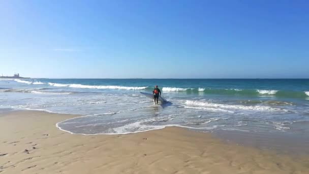 Surfski Paddler Coming Ashore Ocean — Stock Video