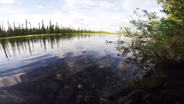 アラスカ州デルタ接合部に位置する澄んだ水の湖のビデオ — ストック動画