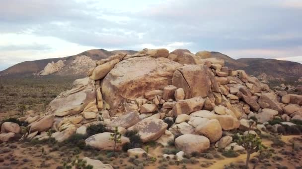 Drone Rodó Pistas Alrededor Formación Rocas Joshua Tree — Vídeos de Stock