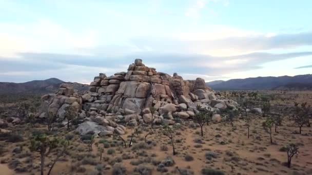 Forward Moving Drone Shot Joshua Tree Rock Formation — Stock Video