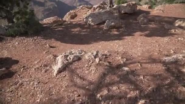 Widokiem Grand Canyon — Wideo stockowe