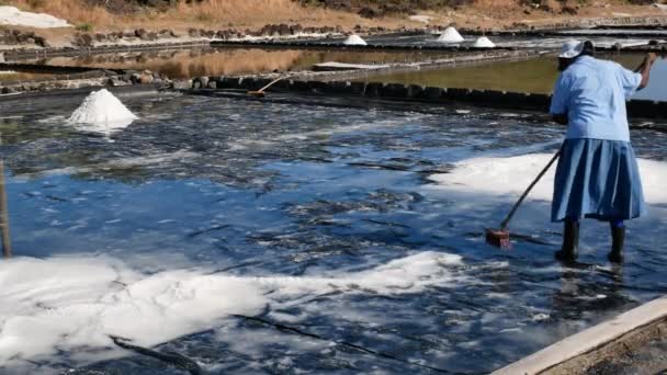 Female Worker Gathering Heaps White Salt Salt Farm — Stock Video