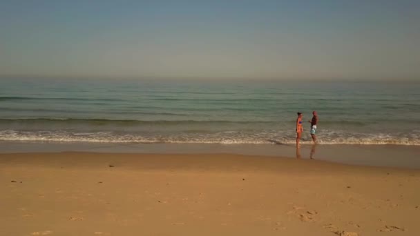 空中回転します 穏やかな海の隣の砂浜でリラックスした人々 — ストック動画