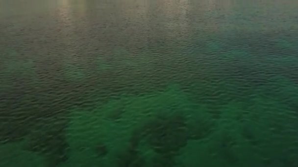 Aeriele Verwijzing Naar Panning Omhoog Groene Oceaan Die Leidt Naar — Stockvideo