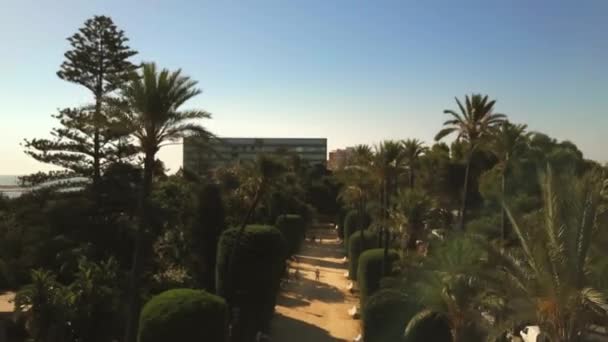 Luchtvaart Verplaatsende Luchtkussenblokken Luxe Resort Tussen Palmbomen — Stockvideo