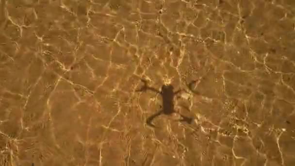 Aerial Moving Forward Panning Plätschernder Ozean Führt Touristen Sandstrand — Stockvideo