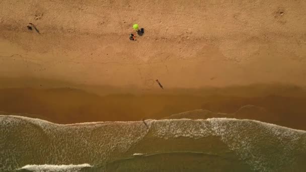 Aeriele Zoeken Uit Mensen Het Zandstrand — Stockvideo