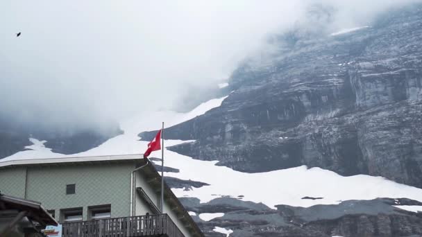 Drapeau Suisse Agitant Dramatiquement Avec Des Oiseaux Volant Ralenti Dans — Video