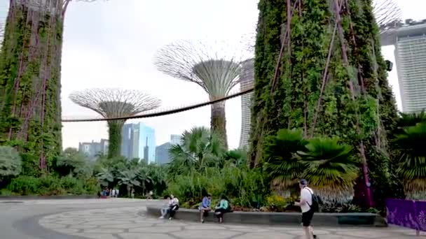 一位摄影师在新加坡湾边的花园中漫步 — 图库视频影像