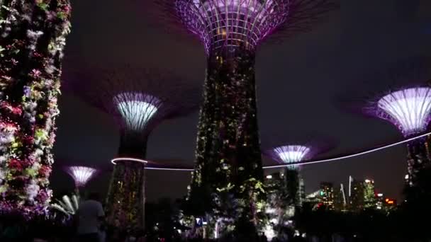 Uno Scatto Rallentatore Lightening Attraverso Cielo Gardens Bay Singapore — Video Stock
