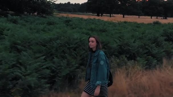 Drone Footage Woman Walking Expanse Nature Rising Trees Reveal Amazing — Stock Video