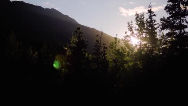 Sonne Gleißt Der Abenddämmerung Durch Den Wald Alaskas — Stockvideo