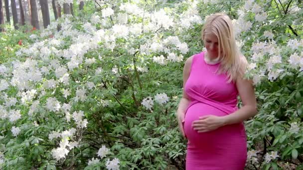 Έγκυος Γυναίκα Φόρεμα Κρατά Χέρια Στην Κοιλιά Στο Φυσικό Υπόβαθρο — Αρχείο Βίντεο