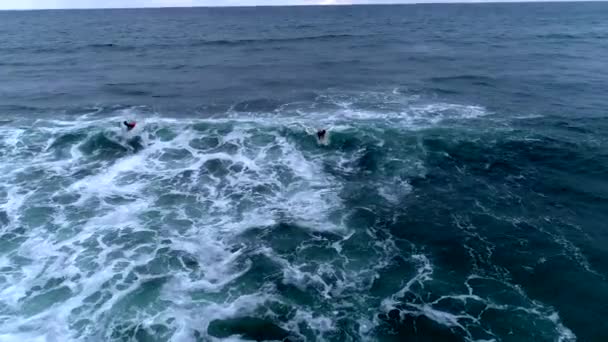 厄瓜多尔蒙塔尼塔 2018年9月13日 无人机空中 冲浪手在村前冲向波浪 — 图库视频影像