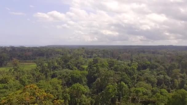 Vista Aérea Del Dron Sobre Interminable Selva Africana Día Nublado — Vídeos de Stock