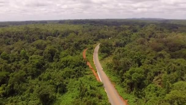 Aerial Drone View Road Jungle Sunny Day Nanga Eboko Haute — Stock Video