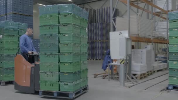 Depoda Forklift Ile Sandıklar Taşınıyor — Stok video