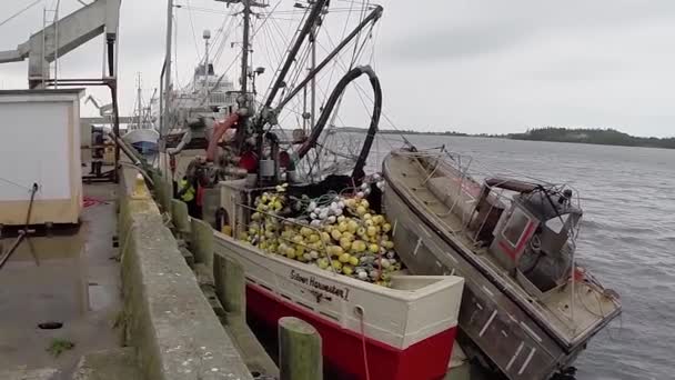 Memancing Perahu Dalam Perikanan Komersial — Stok Video