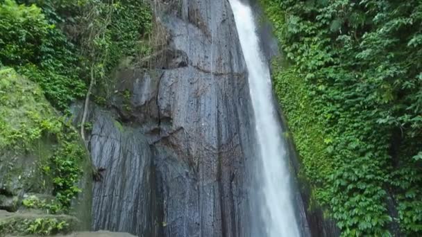 Красивый Водопад Бали Индонезия Водопад Lokasi Air Terjun Kuning Видео — стоковое видео