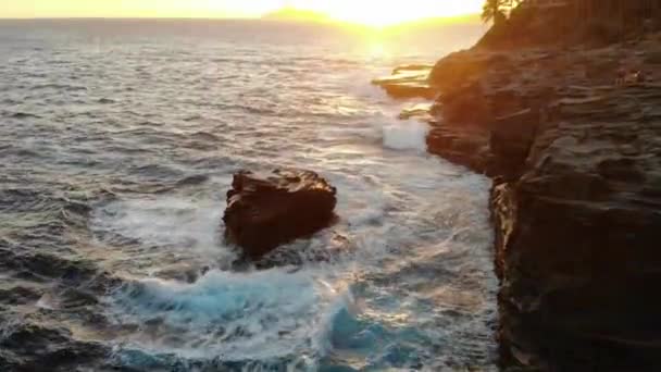 Olas Cristalinas Del Océano Azul Golpeando Hermosa Costa Hawaii Disparo — Vídeos de Stock