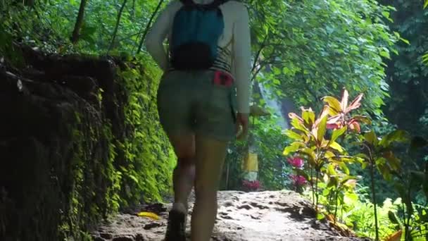Menina Caminhadas Natureza Floresta Bali Indonésia Vídeo Câmera Lenta — Vídeo de Stock