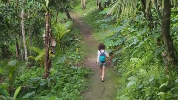 Menina Caminhadas Natureza Floresta Bali Indonésia — Vídeo de Stock