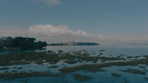 Una Grabación Dron Volando Hacia Ciudad Auckland Acercándose Los Edificios — Vídeos de Stock