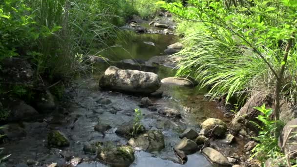 Mystisches Blaues Wasser Und Ein Versteckter Teich Atami Japan — Stockvideo