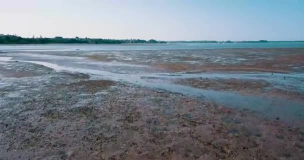 ビーチ 河口上空の低空力ビデオは海に出て行く — ストック動画