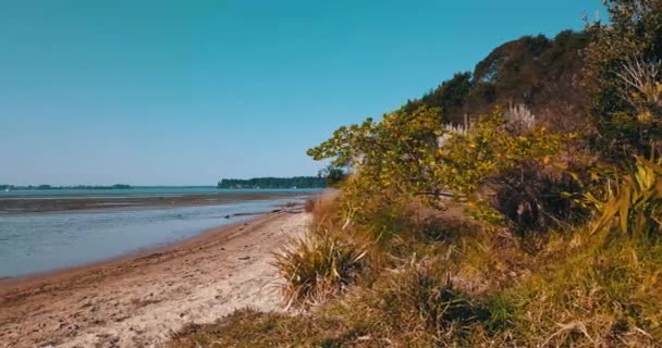 Zandstrand Kustlijn Links Verplaatsen — Stockvideo