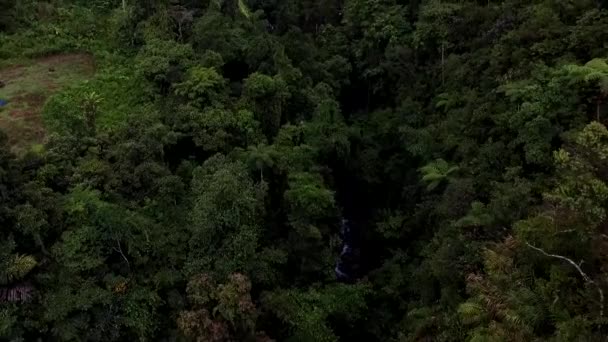 Tropical Rain Forest Mountains Roads Parte — Vídeo de Stock
