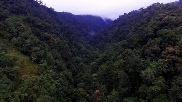 Tropical Rain Forest Mountains Roads Parte — Vídeo de Stock