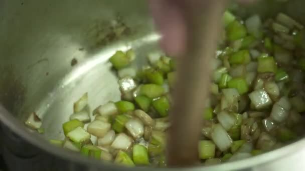 Roeren Gehakte Groene Appel Een Pot Onze Chef Kok Probeert — Stockvideo