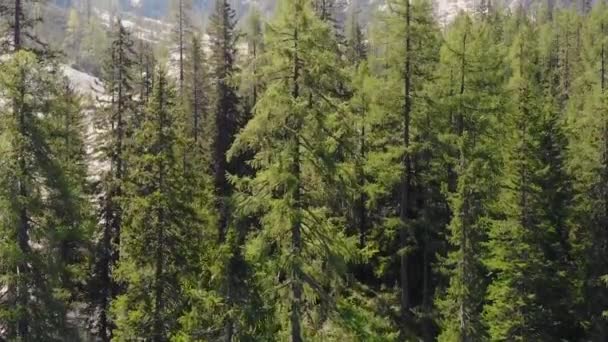 Drone Câmera Lenta Aérea Voando Sobre Uma Floresta Grandes Montanhas — Vídeo de Stock