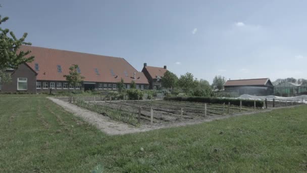 Granja Holandesa Típica Cerca Campo Cultivo — Vídeos de Stock