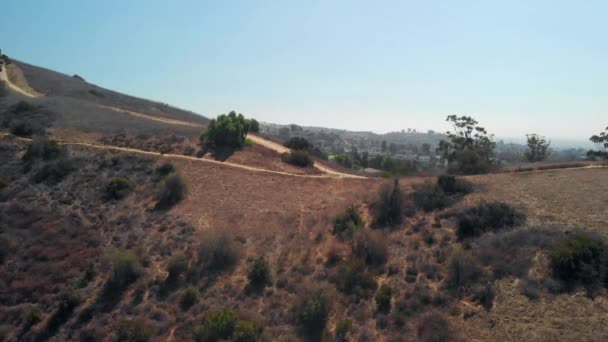 Boomerang Drone Shot Hillside Trail — Stock Video
