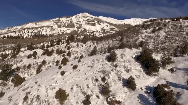 Imágenes Aéreas Paisaje Montañoso Nevado Día Soleado — Vídeos de Stock