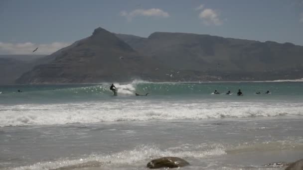 Movimento Lento Surfistas Longo Costa África Sul — Vídeo de Stock