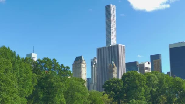 Uhd 25P New Yor City Central Park Schapenweide Bomen Skyline — Stockvideo