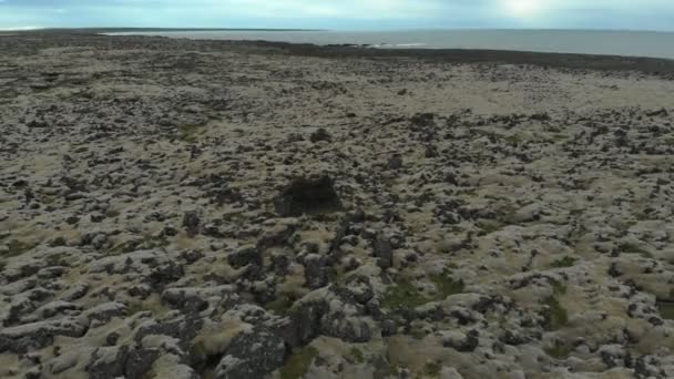 Orbita Tira Levántate Alrededor Una Gran Roca Campo Lava Cubierto — Vídeos de Stock