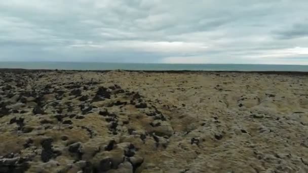 Emelkedő Légi Lövés Repül Moha Borított Lávamező Felé Óceán Izlandon — Stock videók