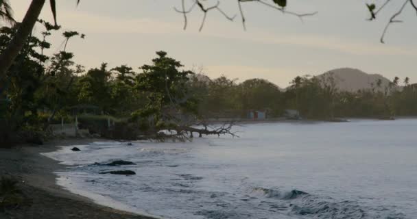Παραλία Κοντά Στο Rincon Puerto Rico — Αρχείο Βίντεο